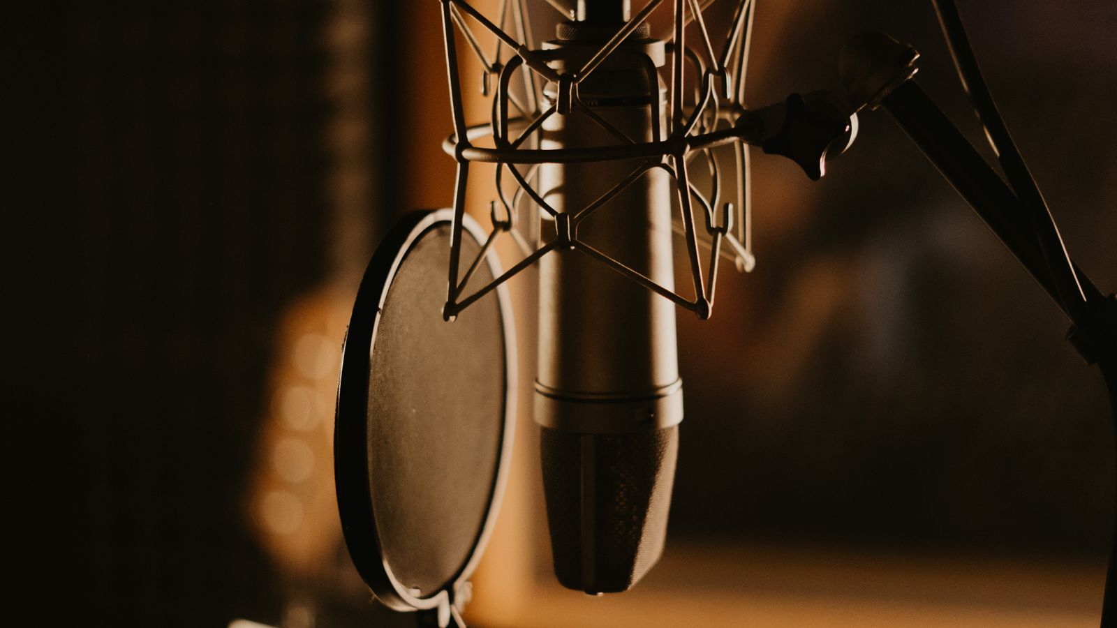 Studio microphone for voice capture